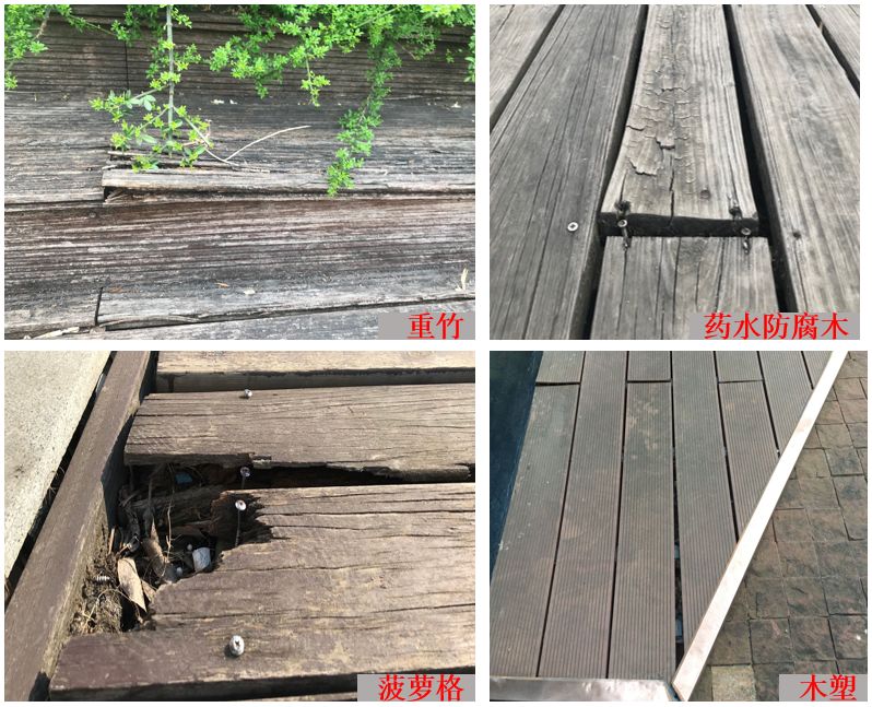 1616138927145770.jpg 640 (3).jpg